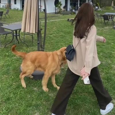 藏春洞